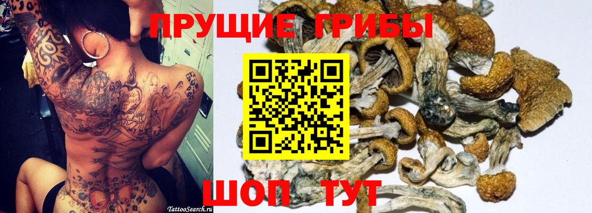 Псилоцибиновые грибы MAGIC MUSHROOMS Гай